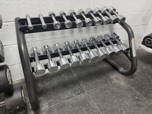 Technogym 10kg dumbbells - dumbbells,